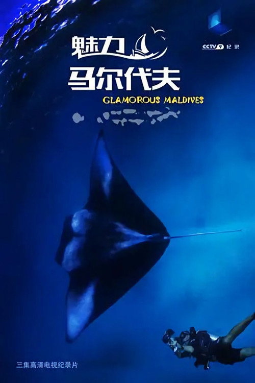 魅力马尔代夫