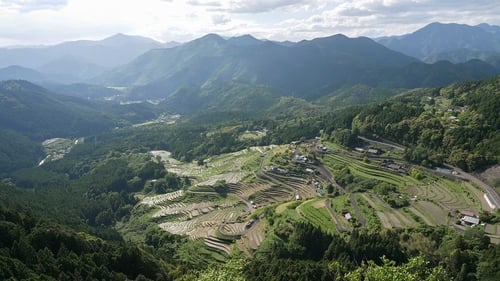 Kumano Kodo: Fast Hiking to Nirvana