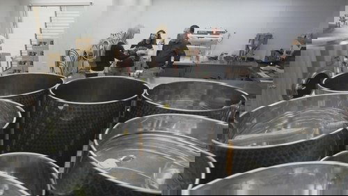 Background image for Roots Chocolate | Bos Meadery