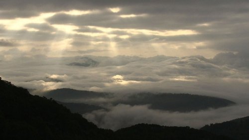 Background image for The Forest of Shimukappu