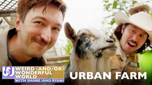 Shane and Ryan Become Urban Farmers