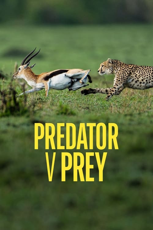 Show cover for Predator v Prey