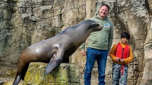Background image for Sea Lion and Capybara