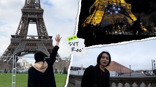 Background image for [SVT Record] 정한이의 파리 Vlog | 걸어서 파리 속으로 | 호싱이랑 에펠 탑 #18