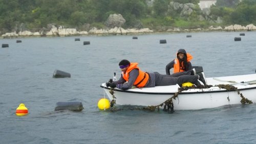 Background image for The System Hacked Me