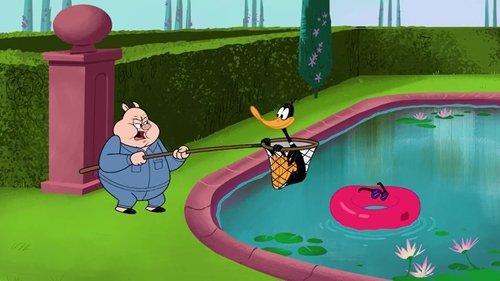 Background image for Point Duck Percent