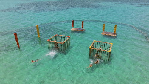 Background image for Episode 3