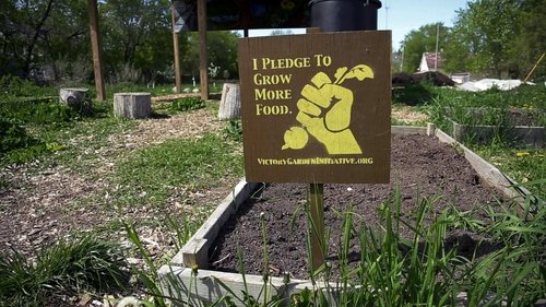 Background image for The Victory Garden Initiative