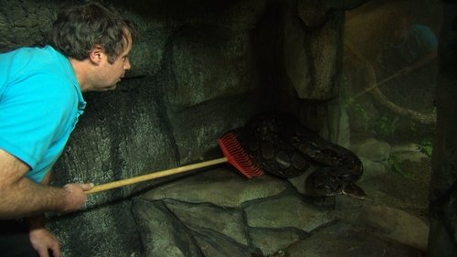 Background image for Episode 6