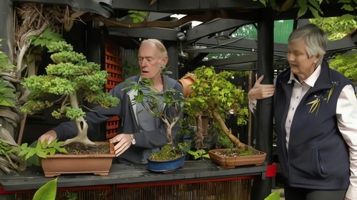 Background image for Episode 6 Edible Garden, Native Plants, Bonsai & Fungi