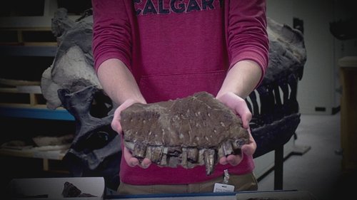 Background image for Killer Finds