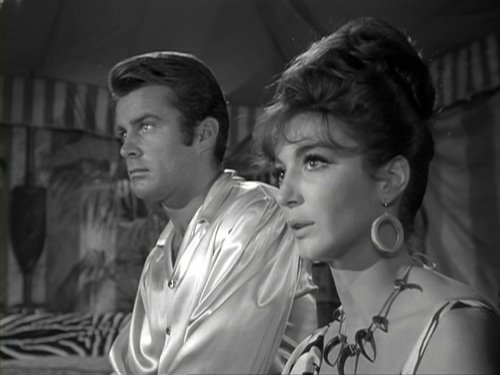 Background image for The Night of Sudden Death