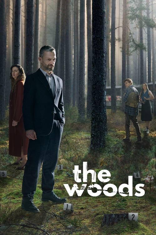 Show cover for The Woods