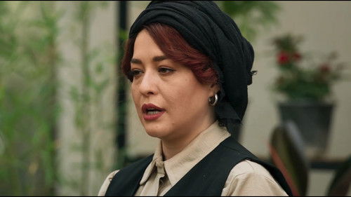 Background image for The Beretta Trail