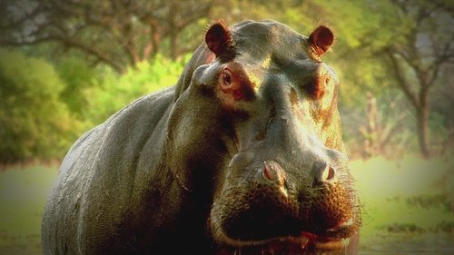 Background image for Beastly Revelations