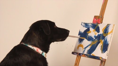 Background image for Detective Dogs & Truffle Hunting Dogs