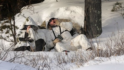 Background image for Wolf Watch