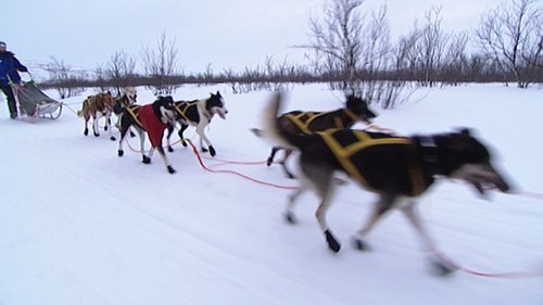 Background image for Lars in Finnmarksloepet