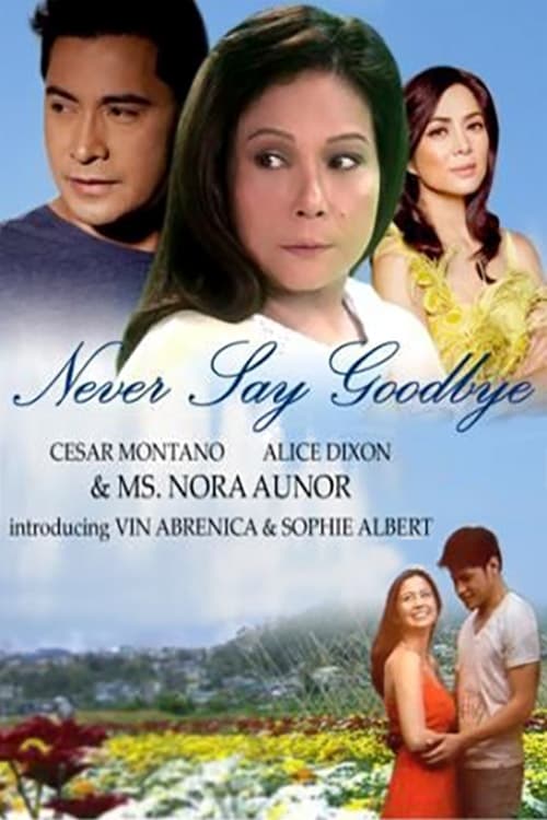 Show cover for Never Say Goodbye