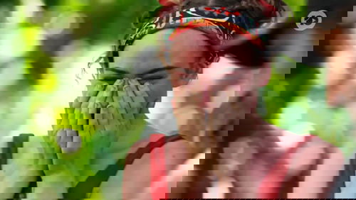 Background image for Pickled