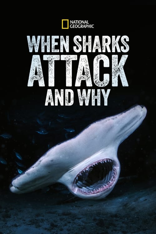 Show cover for When Sharks Attack... and Why