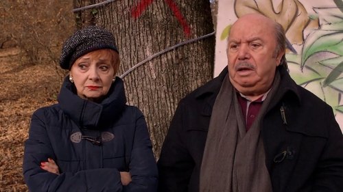 Background image for Save the forest! / Rocco 2 - The return