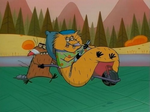 Background image for Chocolate Up to Experience