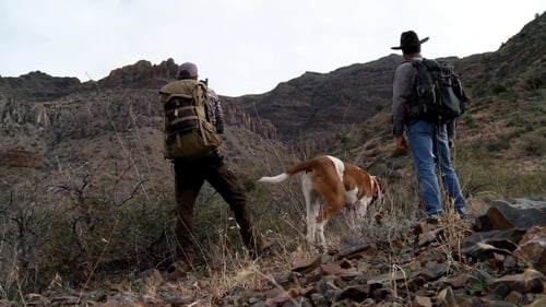 The Fair Chase: Arizona Mountain Lion