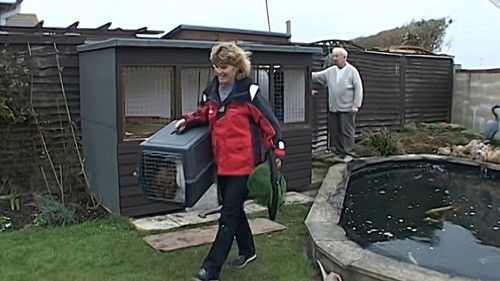 Background image for Episode 9