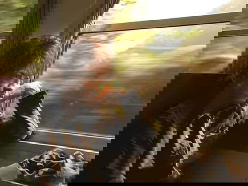 Background image for Miwa, Love and Death