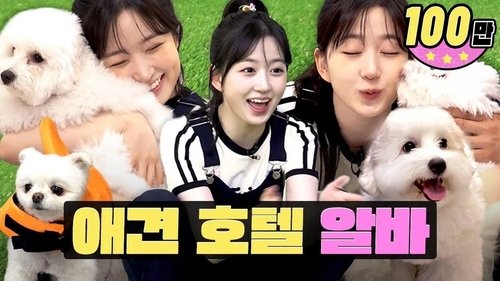 Background image for So cute I want to bite them... but stop, Oh Haewon!ㅣWorkdolㅣPet HotelㅣPuppiesㅣNMIXX Haewon
