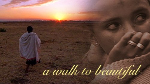 Background image for A Walk to Beautiful