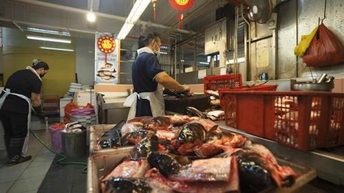 Background image for Singapore