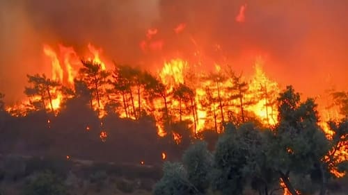 Brazilian Fireball