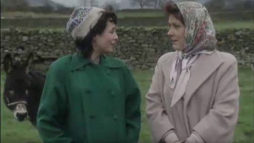 Background image for If Music Be the Food of Love