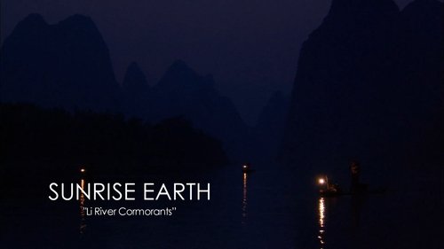 Background image for Li River Cormorants