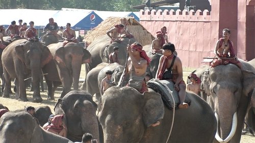 Background image for Thailand's Elephant Tribe: Searching for a New Path