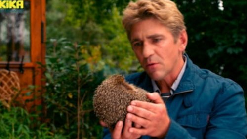 Background image for Igel - Stacheltiere in Gefahr