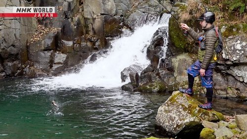 Background image for Fly-Fishing in a Secluded Mountain Stream in Jozankei