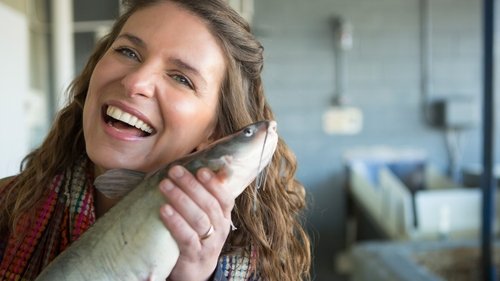 Background image for More Than One Way to Skin a Catfish