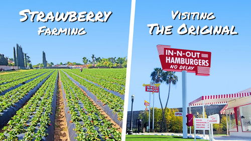 Strawberry Farming and The First In-N-Out