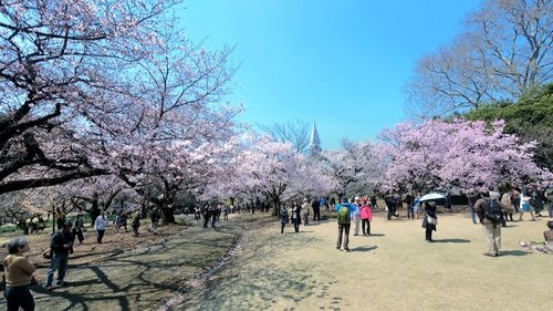 Background image for Keyword: Gardens