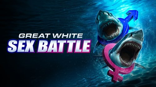 Background image for Great White Sex Battle