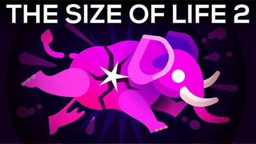 How to Make an Elephant Explode (The Size of Life #2)