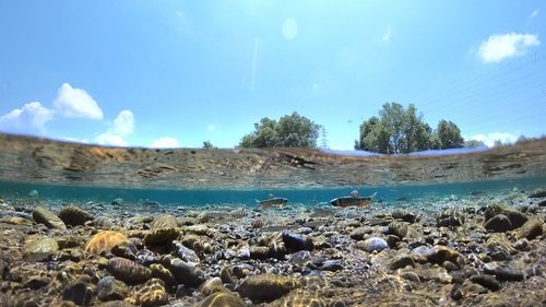 Background image for Light on a Raging River