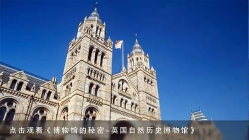 Natural History Museum - London