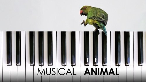 Background image for The Musical Animal