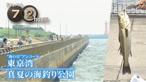 Background image for Hooked on Fishing in Tokyo Bay