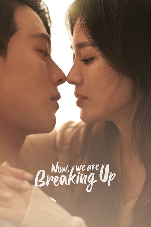 Show cover for Now, We Are Breaking Up