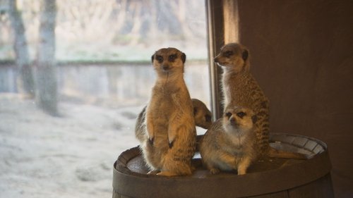 Background image for Episode 3